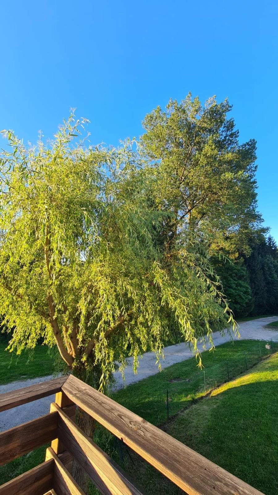 Sous Le Saule Apartment Nods Екстериор снимка