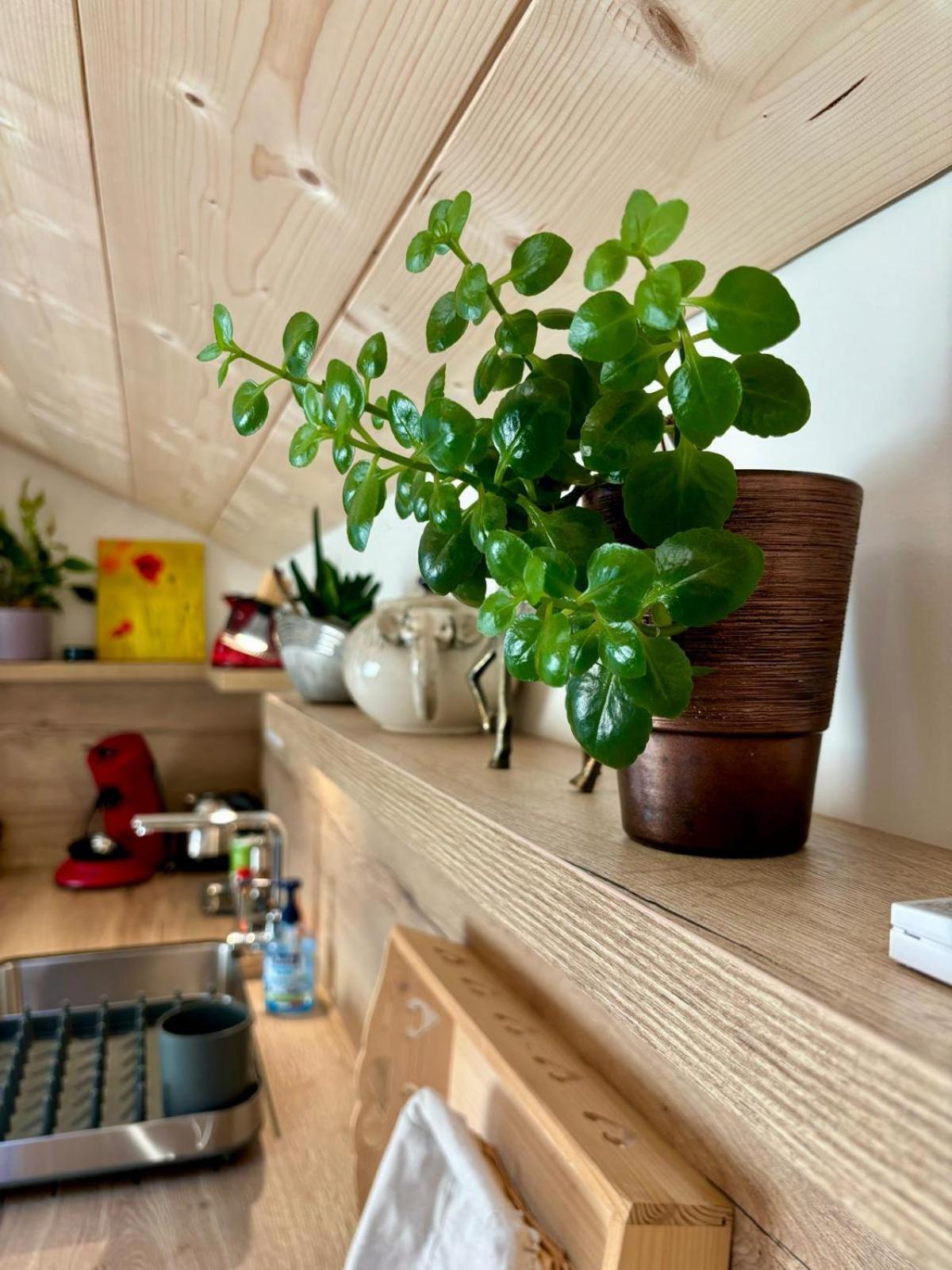 Sous Le Saule Apartment Nods Екстериор снимка